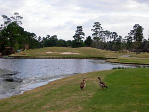 Woodlands (Tournament) 17th Water